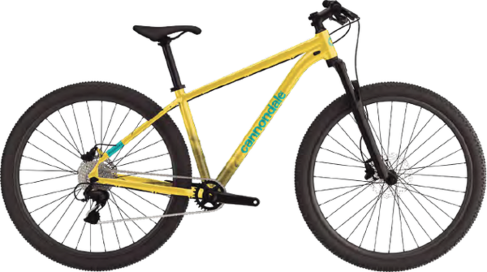 Trail 6 2021 hotsell
