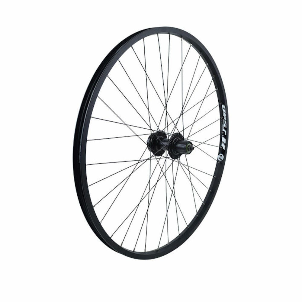 Campagnolo Bora One 35 Disc | Primeau Velo