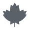 Canada Icon