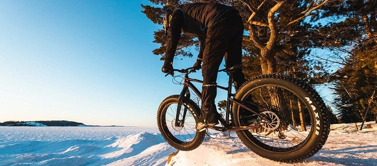 Un homme sur un fat bike qui regarde le paysage de dos